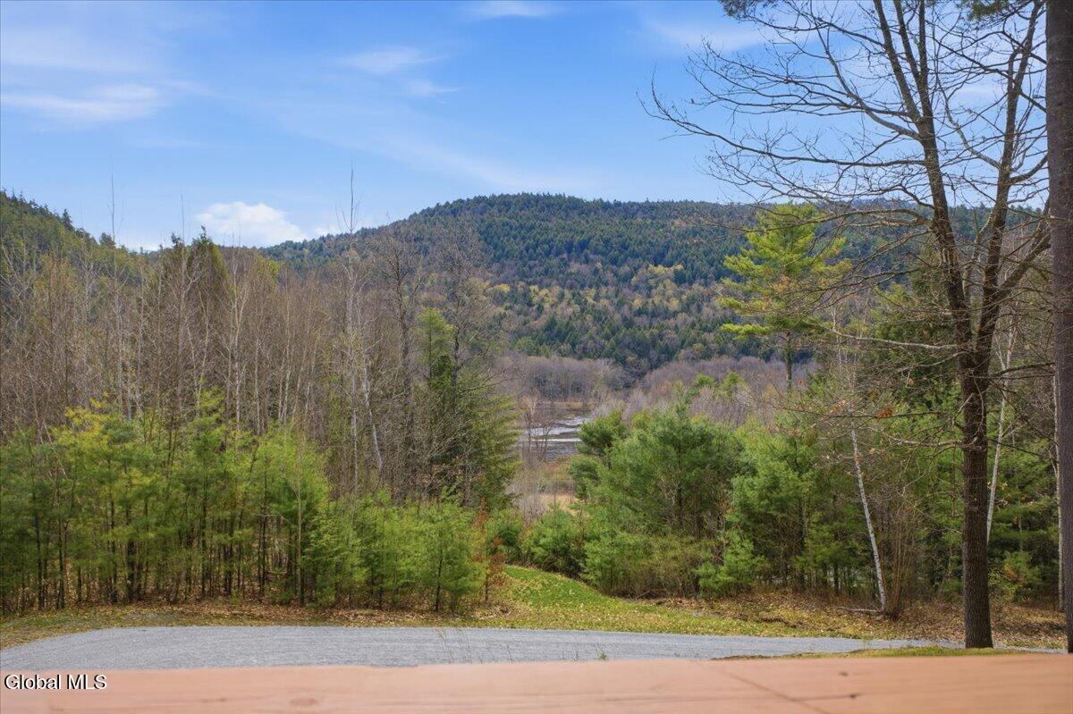 620 Warrensburg Road Stony Creek NY 12878