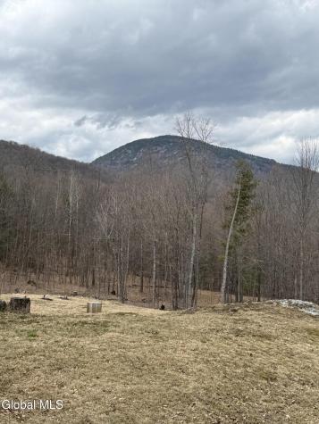 38 Henry Wescott Road Warrensburg NY 12885