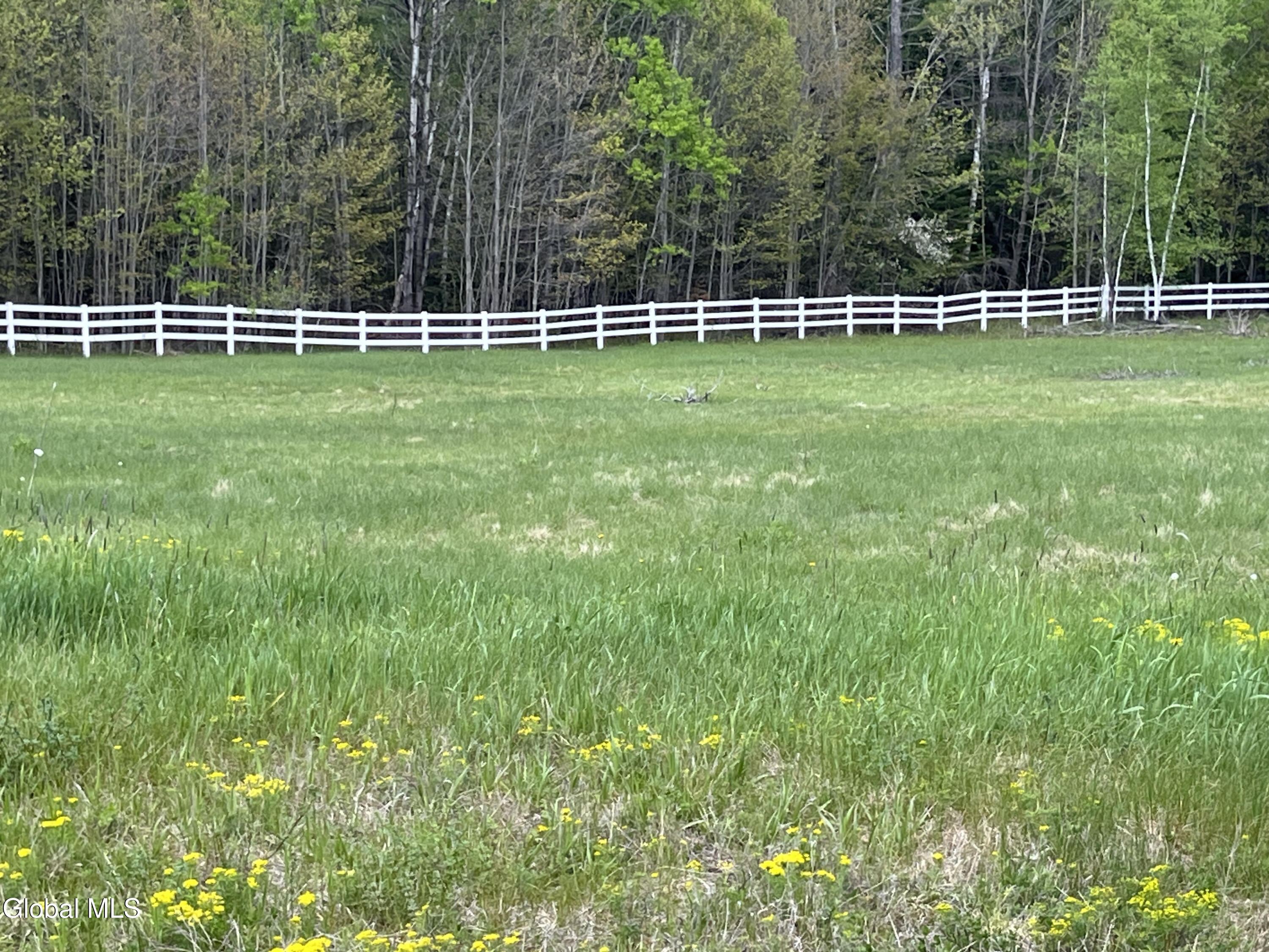 669 Hayesburg Road Brant Lake NY 12815