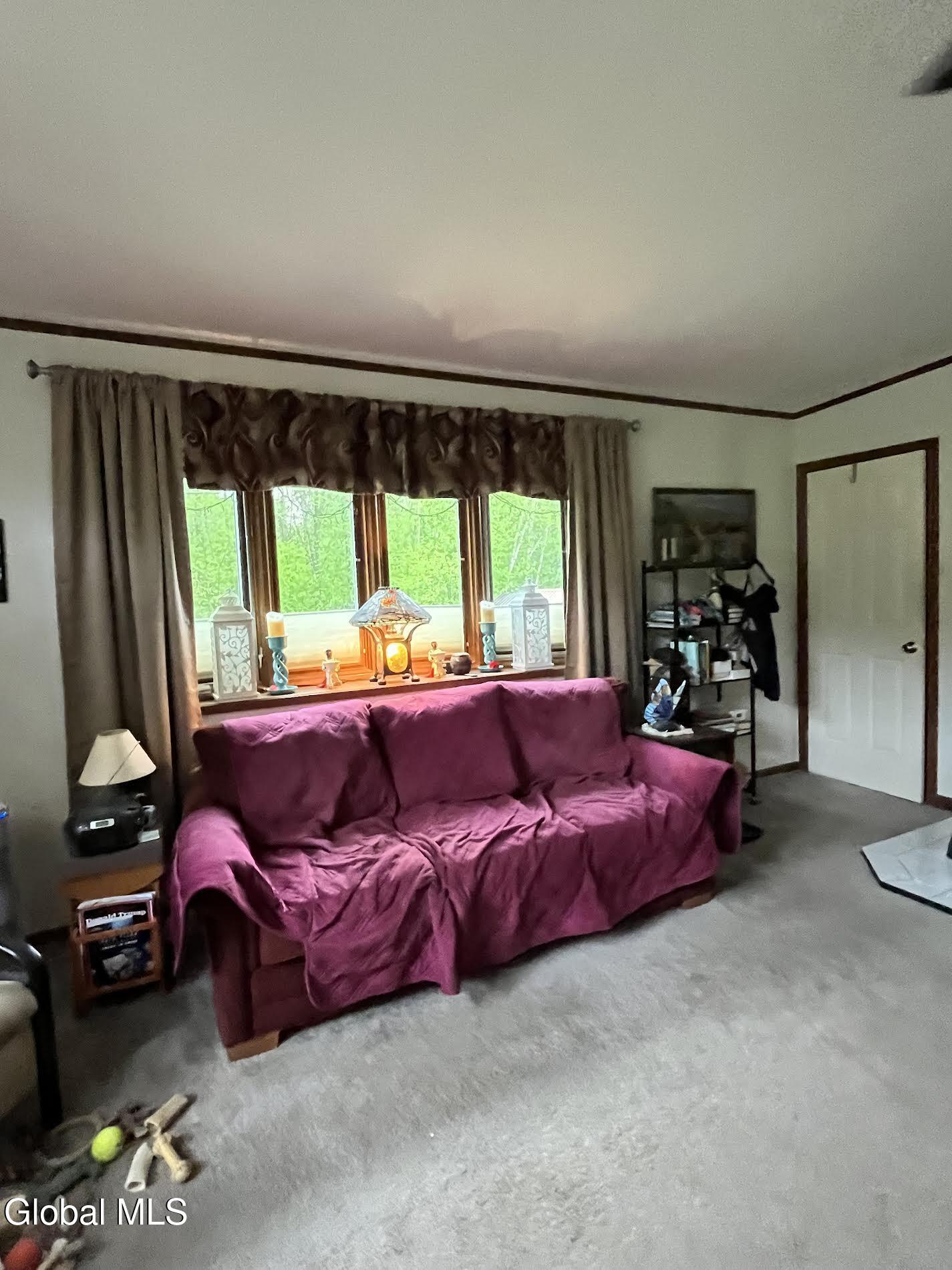 669 Hayesburg Road Brant Lake NY 12815