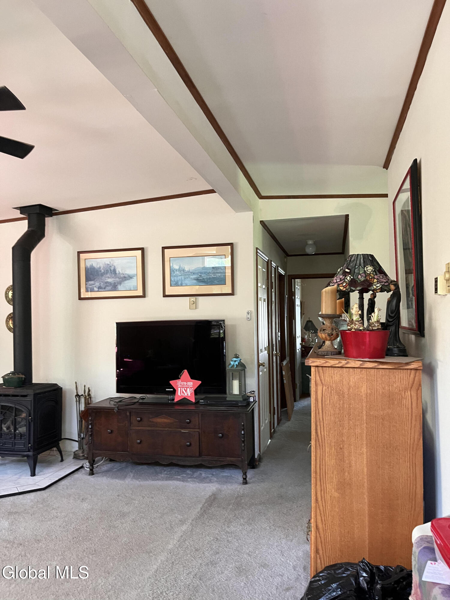 669 Hayesburg Road Brant Lake NY 12815