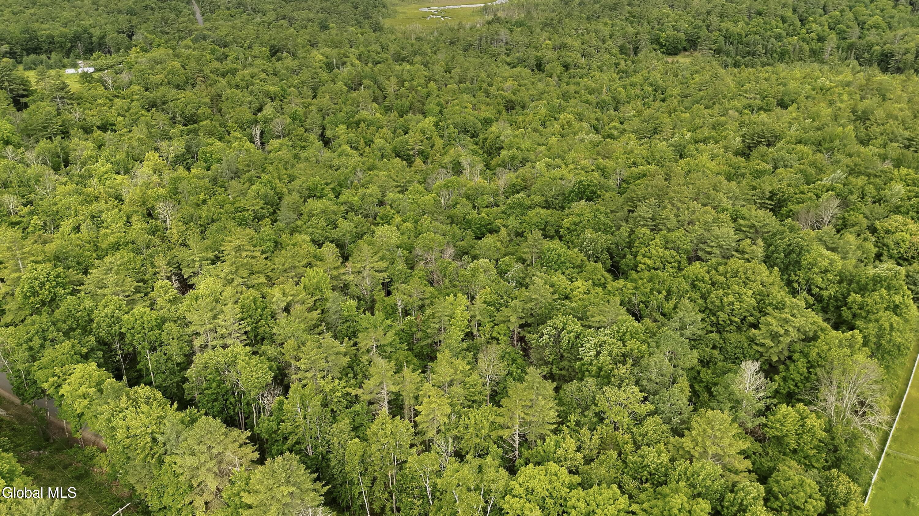 669 Hayesburg Road Brant Lake NY 12815