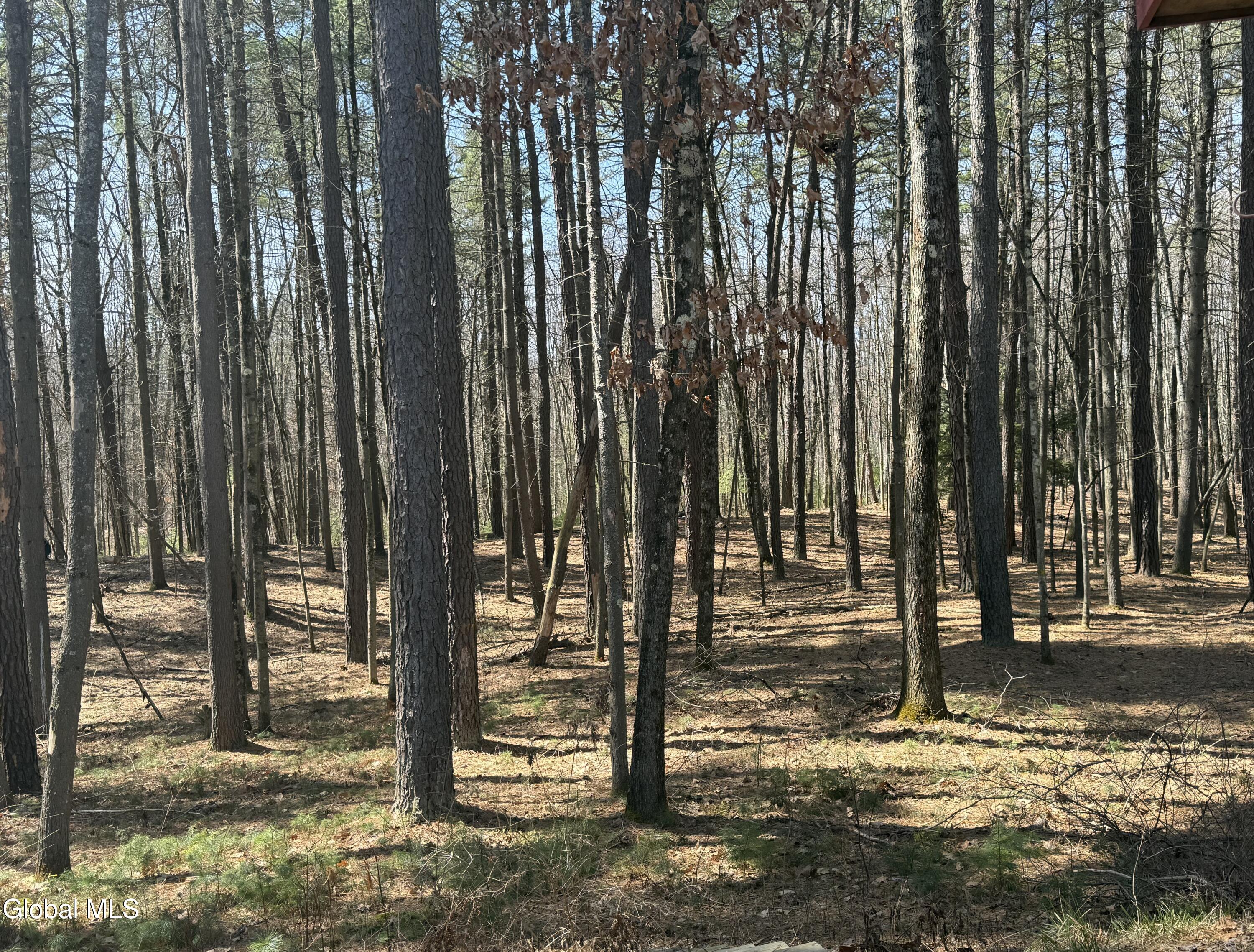 354 Ruggles Road Wilton NY 12831