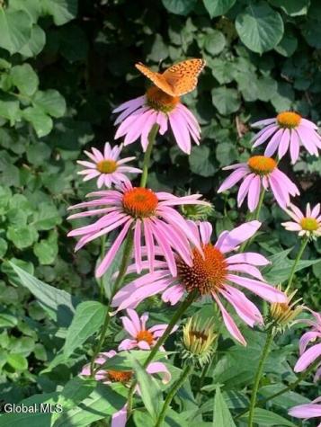 21 Fox Hollow Lane Queensbury NY 12804