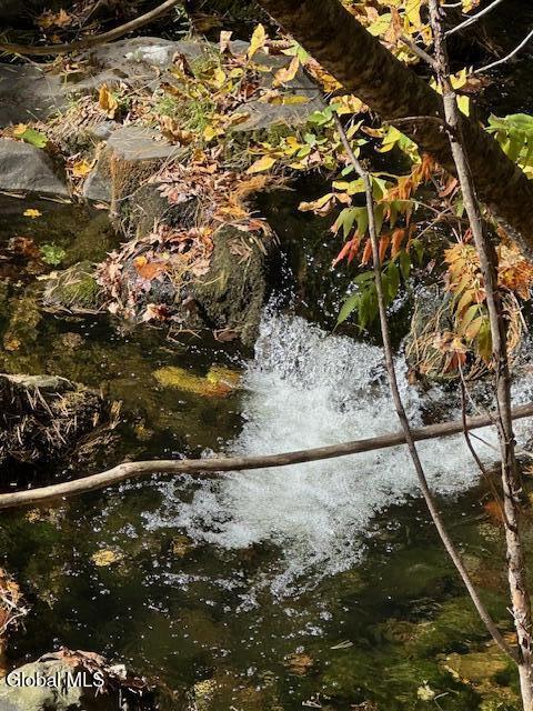 109 Lake Mills Road Cairo NY 12413