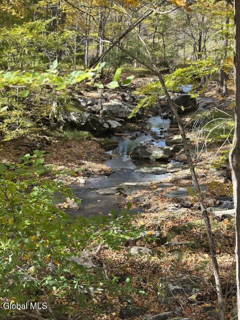 109 Lake Mills Road Cairo NY 12413