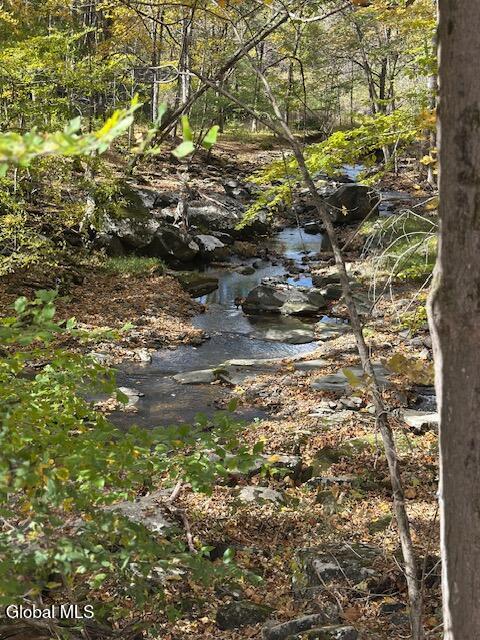 109 Lake Mills Road Cairo NY 12413