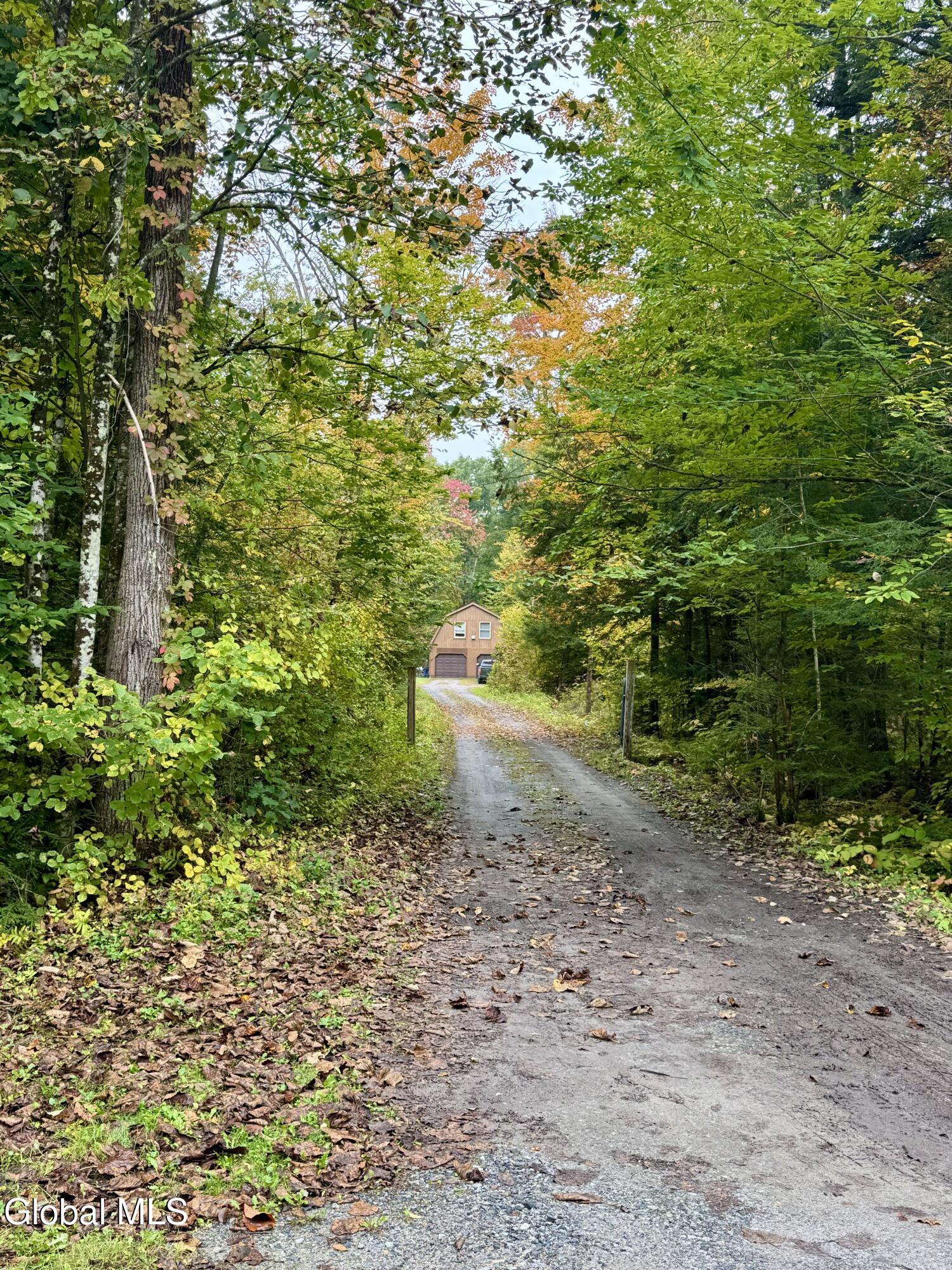 137 Gurn Springs Road Gansevoort NY 12831