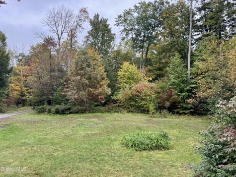 137 Gurn Springs Road Gansevoort NY 12831