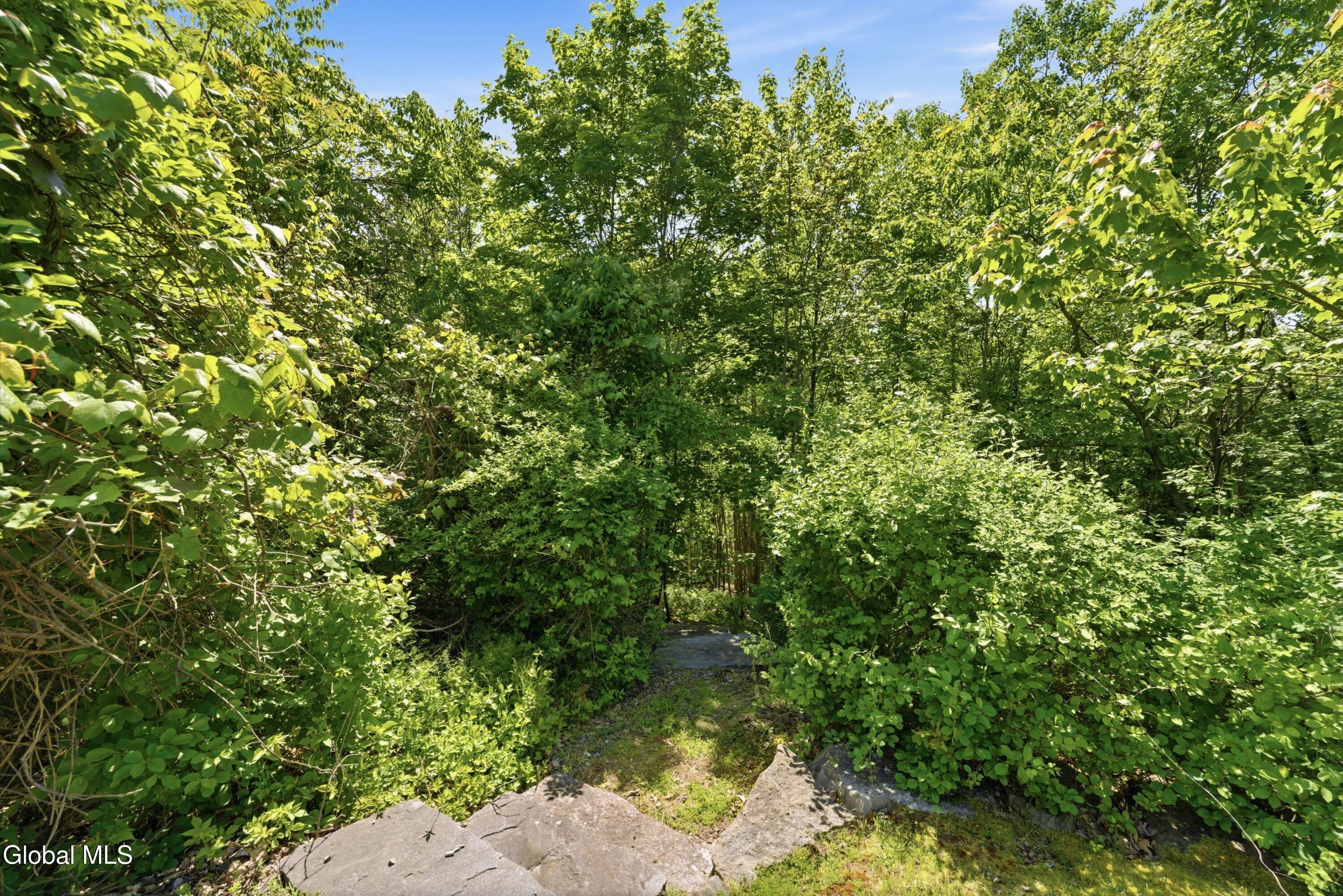 10 Morningside Circle Bolton Landing NY 12814
