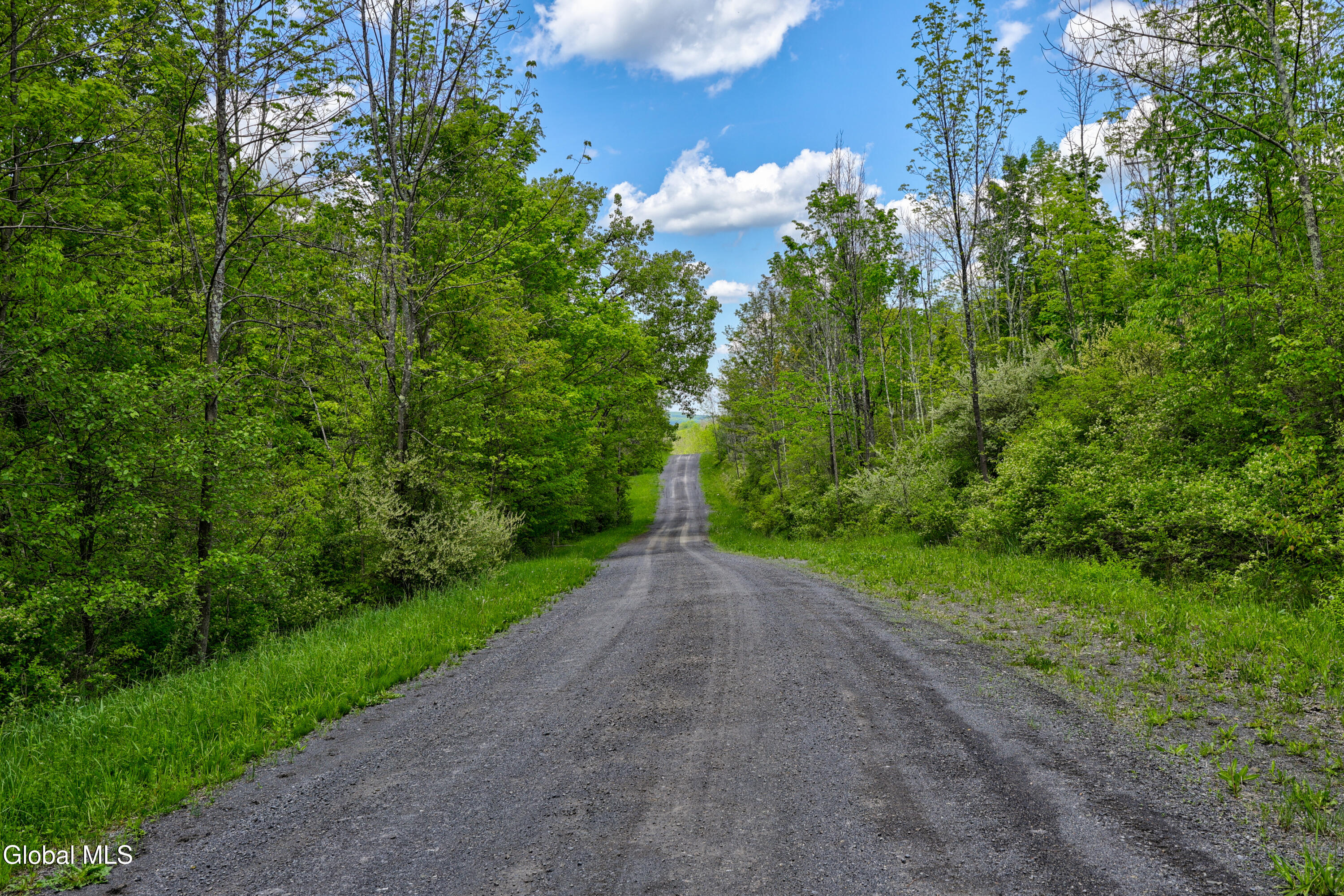441 Hite Road Warnerville NY 12187