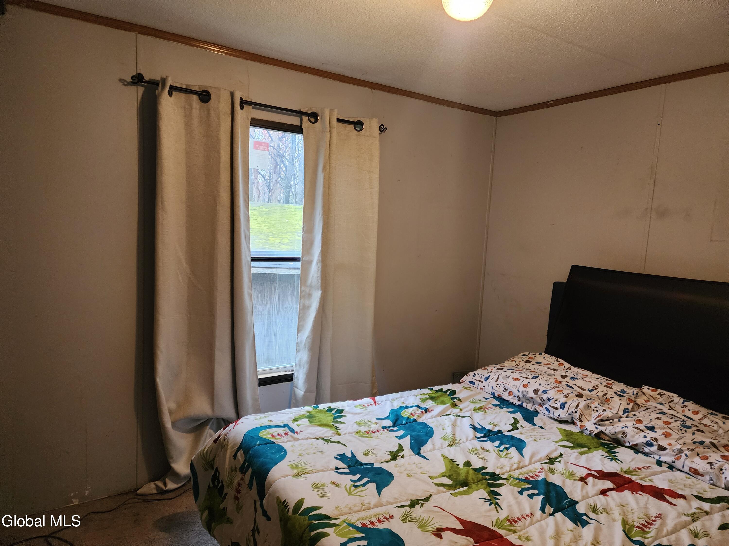 1099 W Hill Road Worcester NY 12197
