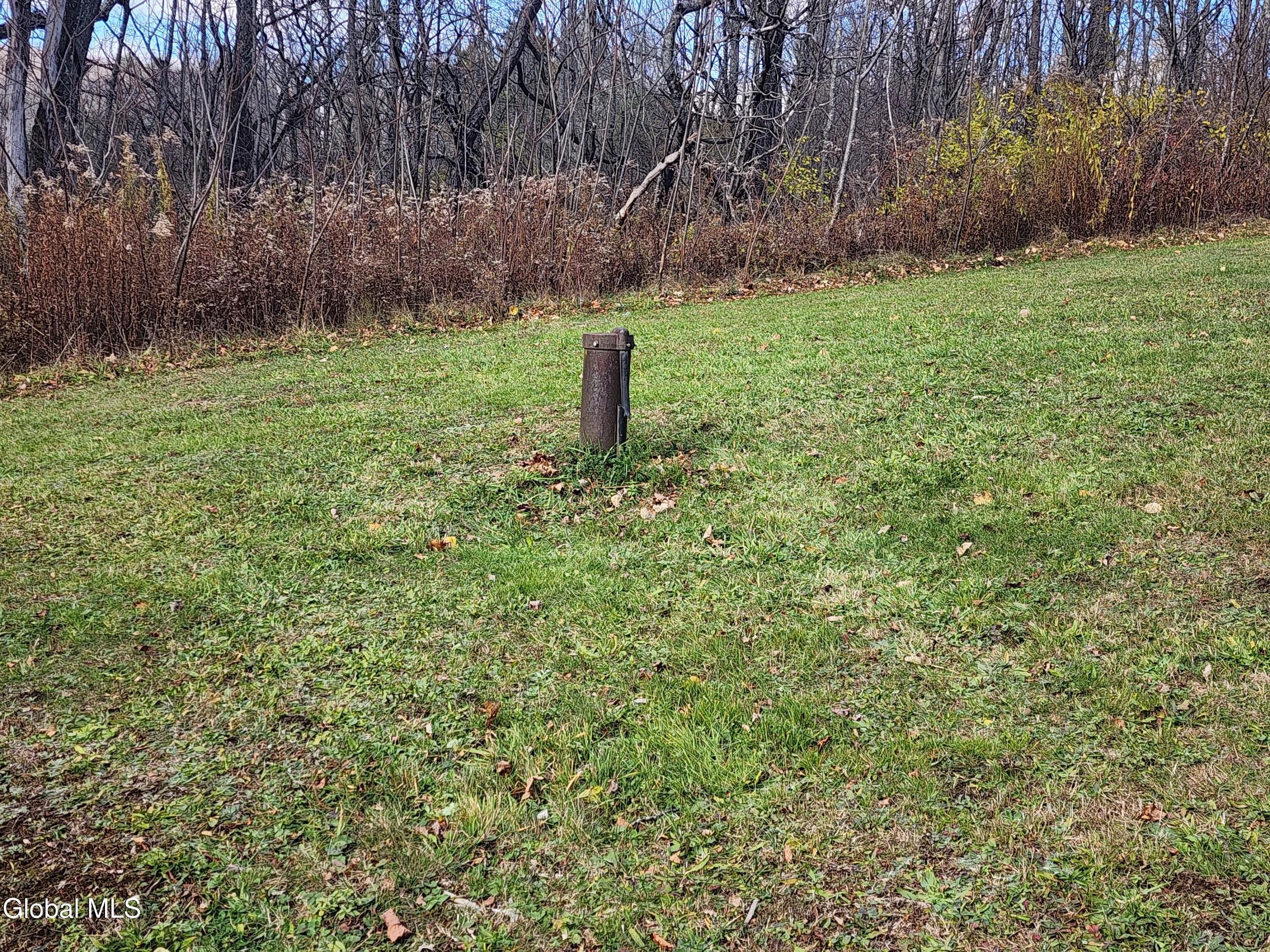 1099 W Hill Road Worcester NY 12197