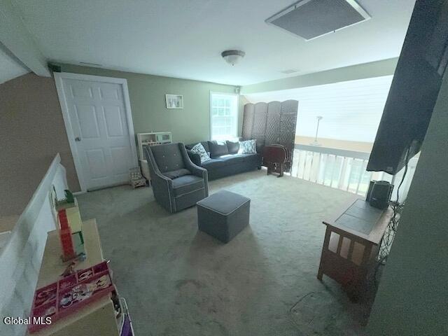 11 Sand Spurrey Road Malta NY 12020
