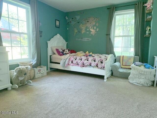 11 Sand Spurrey Road Malta NY 12020