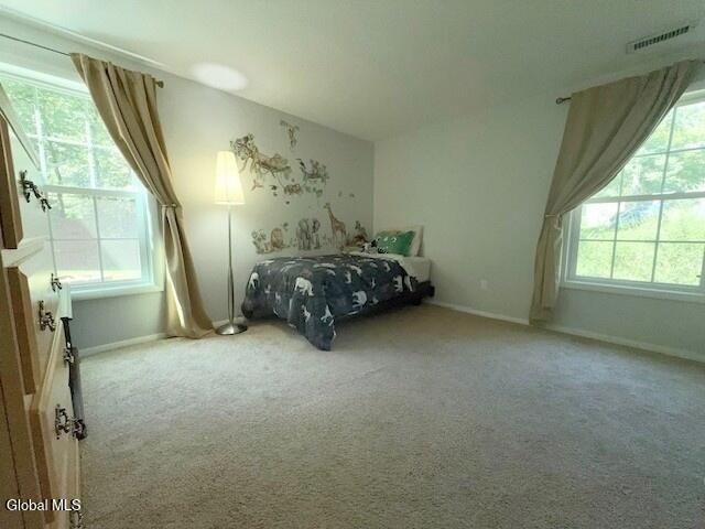 11 Sand Spurrey Road Malta NY 12020