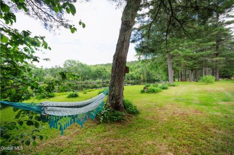 35 Schroon River Forest Chestertown NY 12817