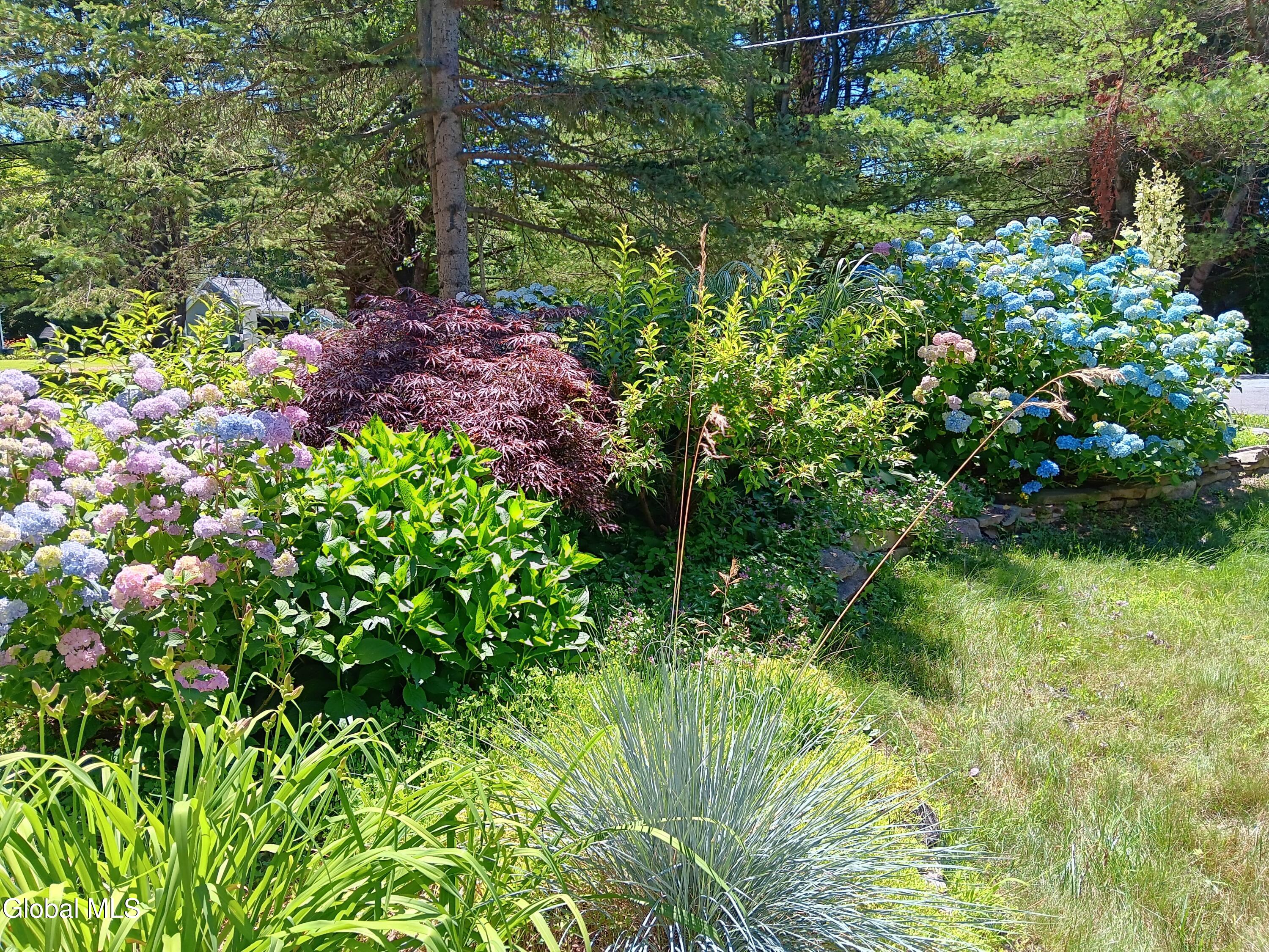 56 Schodack Drive Castleton NY 12033
