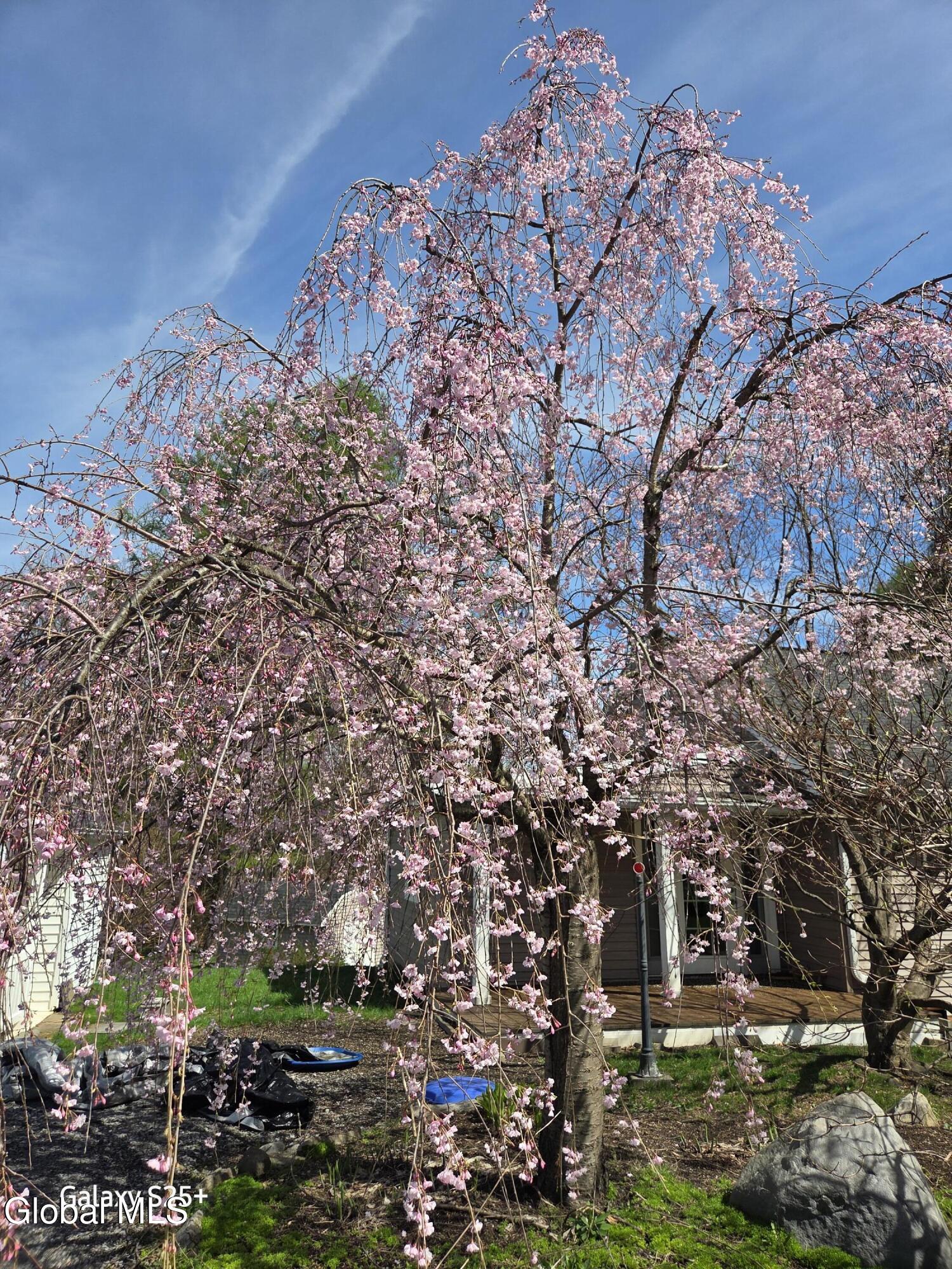 56 Schodack Drive Castleton NY 12033