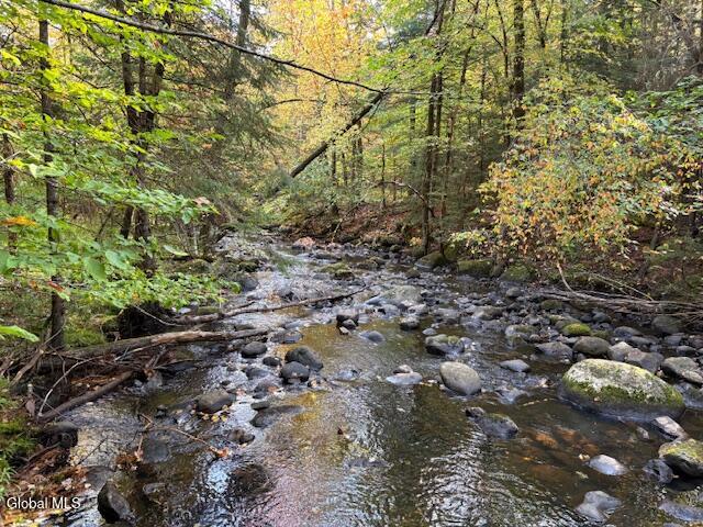 484 S Johnsburg Road Thurman NY 12885