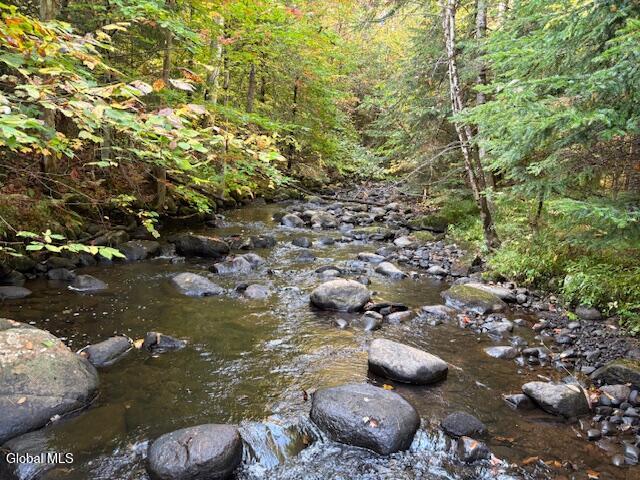 484 S Johnsburg Road Thurman NY 12885
