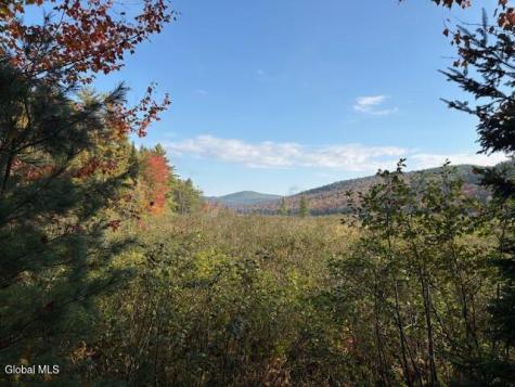 484 S Johnsburg Road Thurman NY 12885