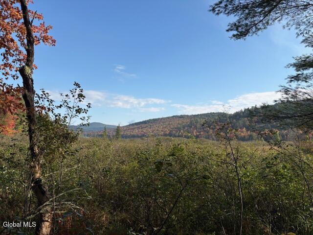 484 S Johnsburg Road Thurman NY 12885