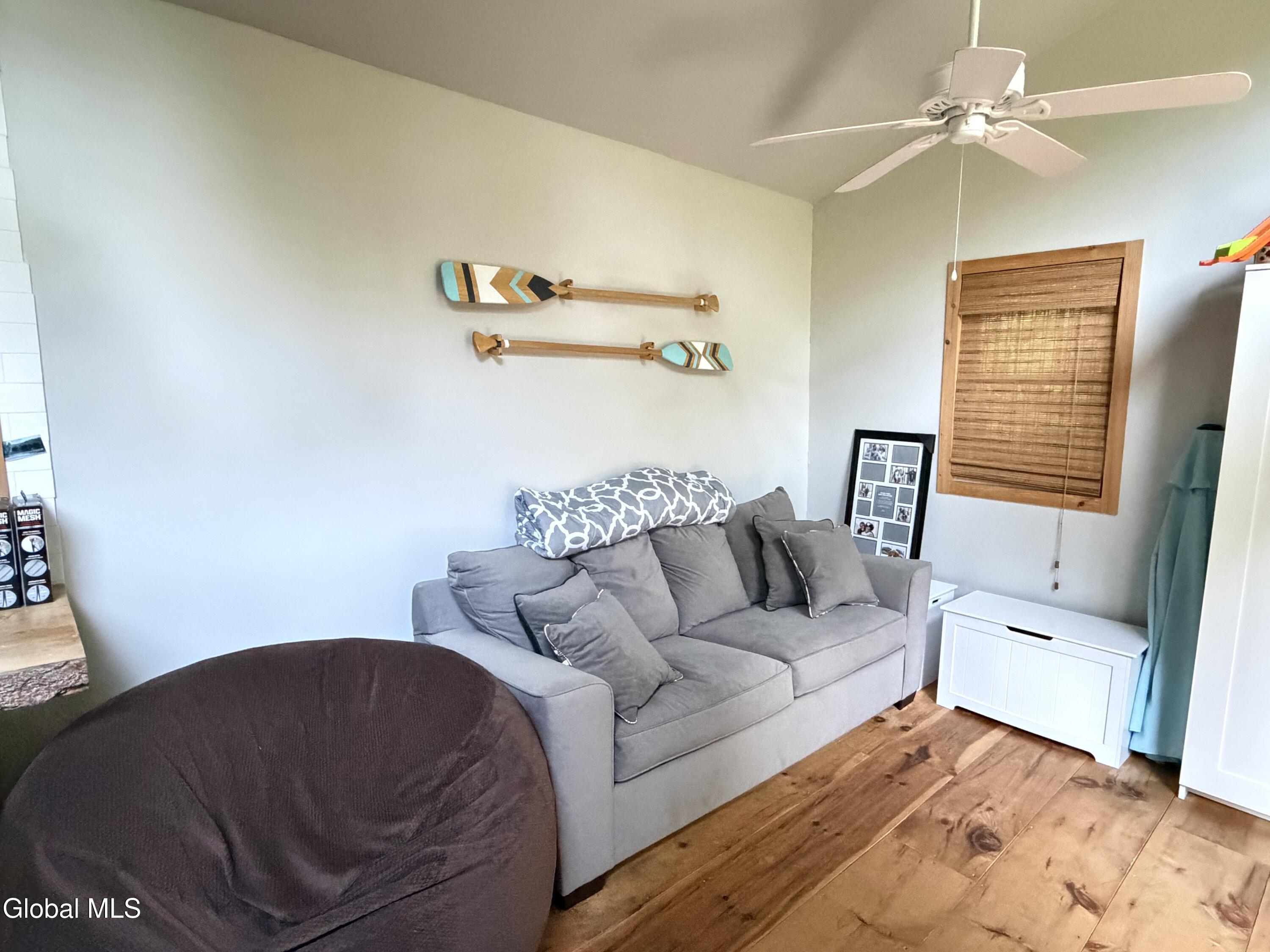 31 Genesee Way Minerva NY 12851
