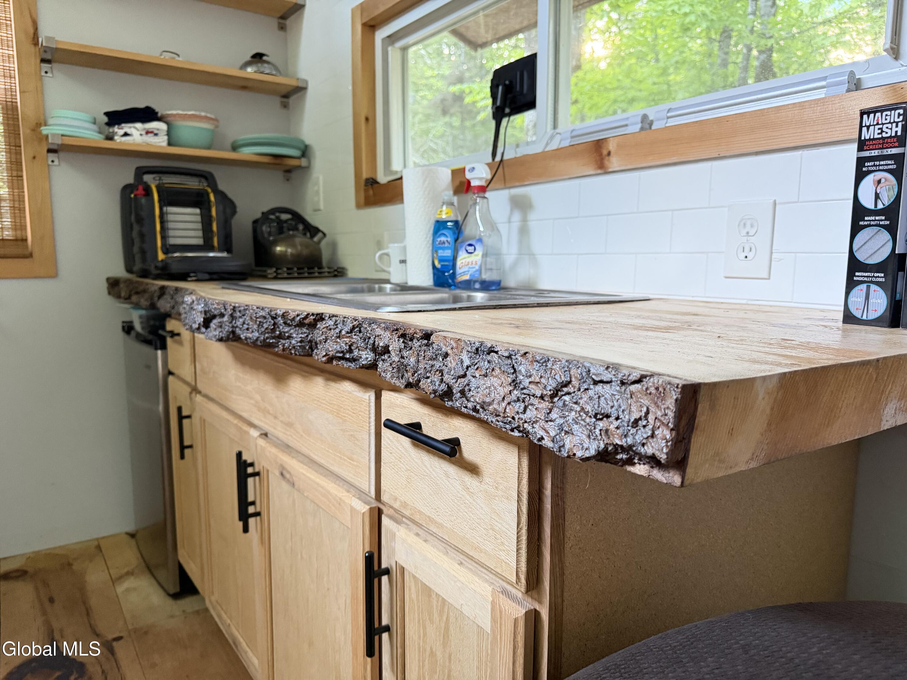 31 Genesee Way Minerva NY 12851