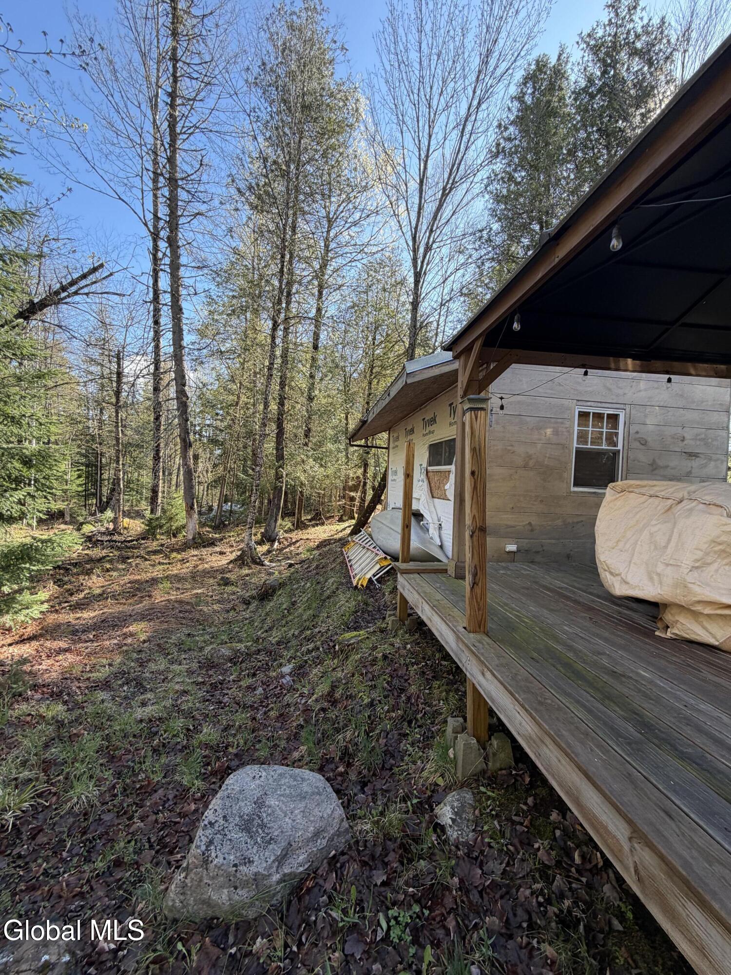 31 Genesee Way Minerva NY 12851