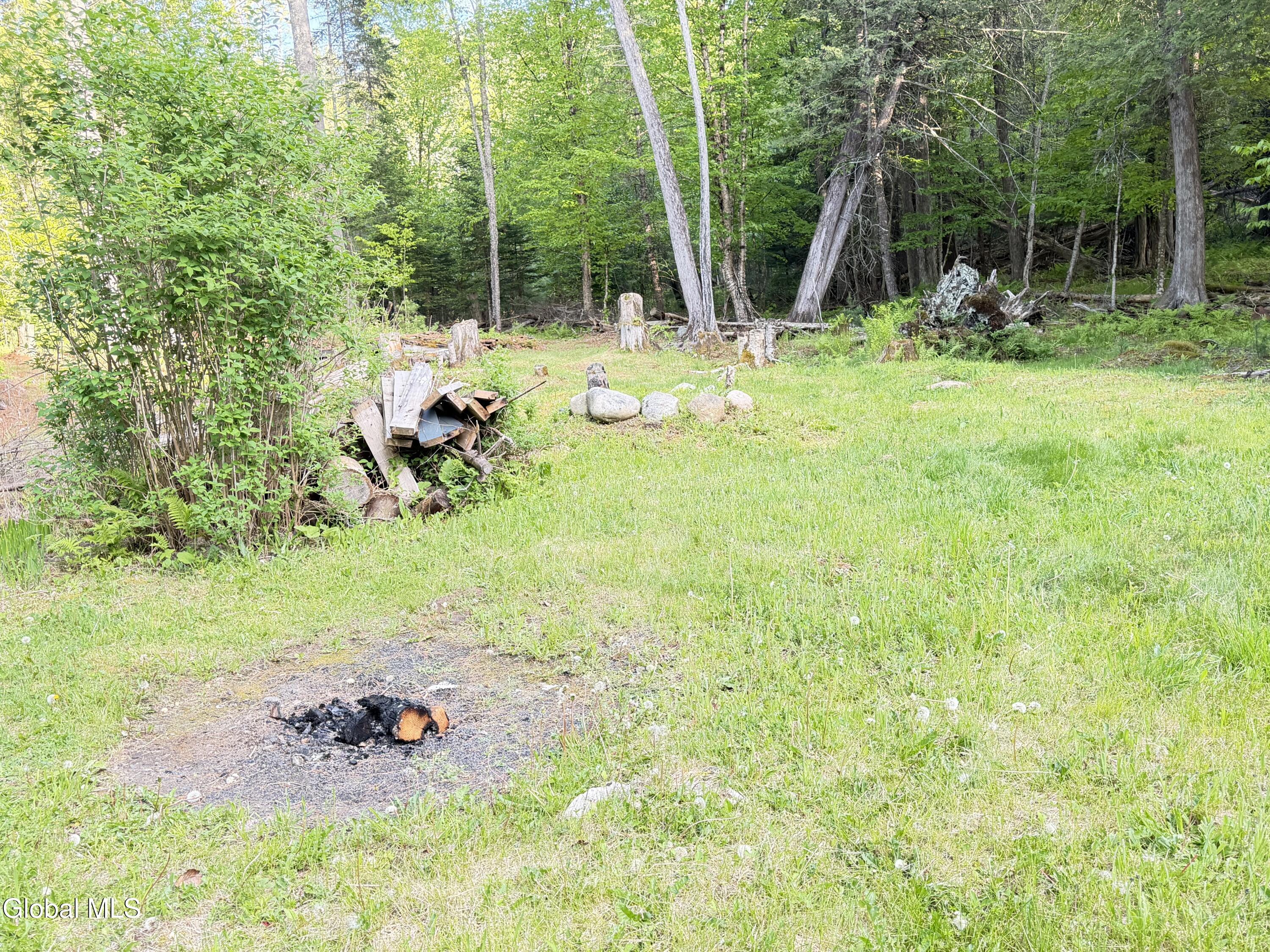 31 Genesee Way Minerva NY 12851