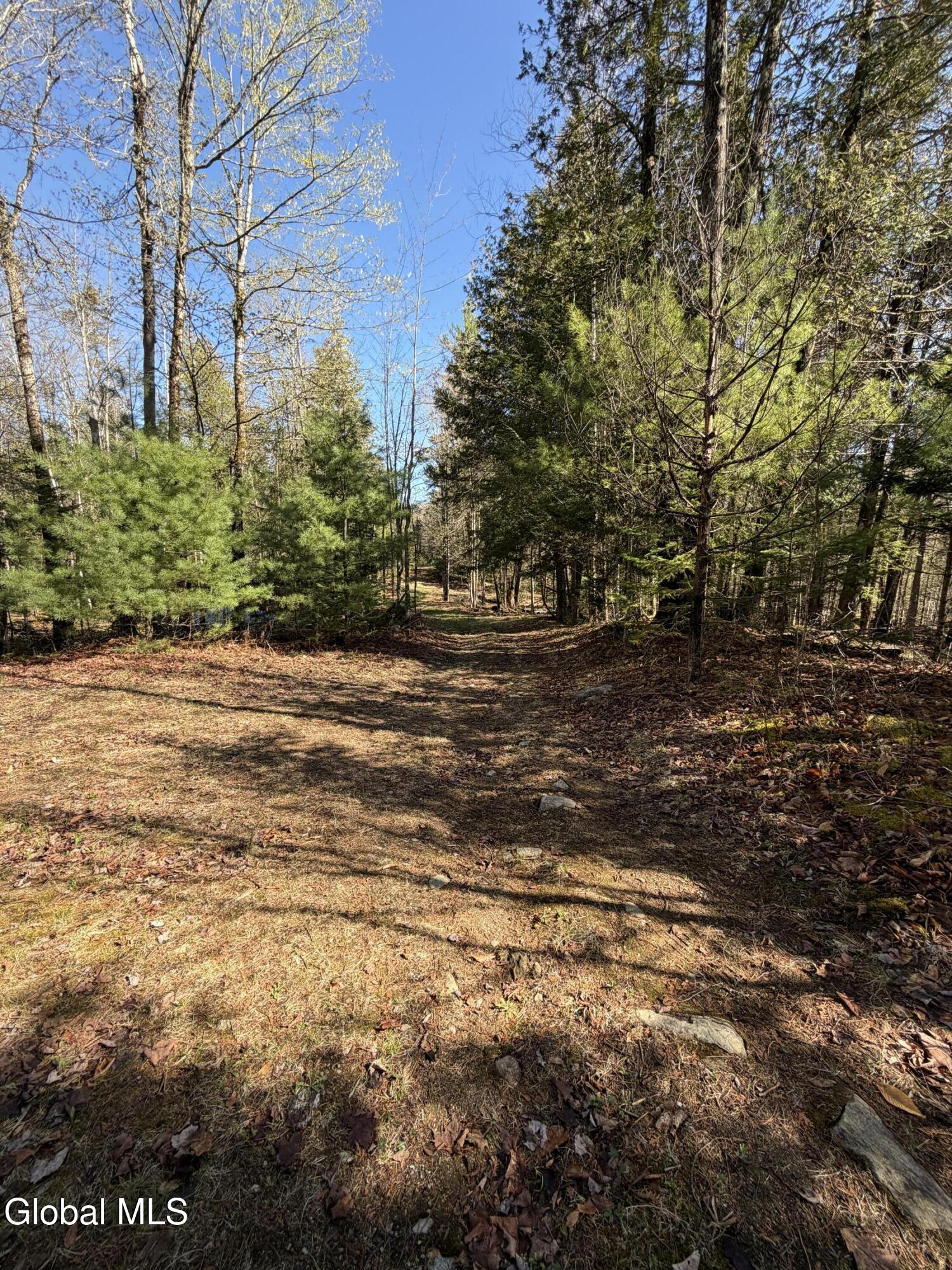 31 Genesee Way Minerva NY 12851