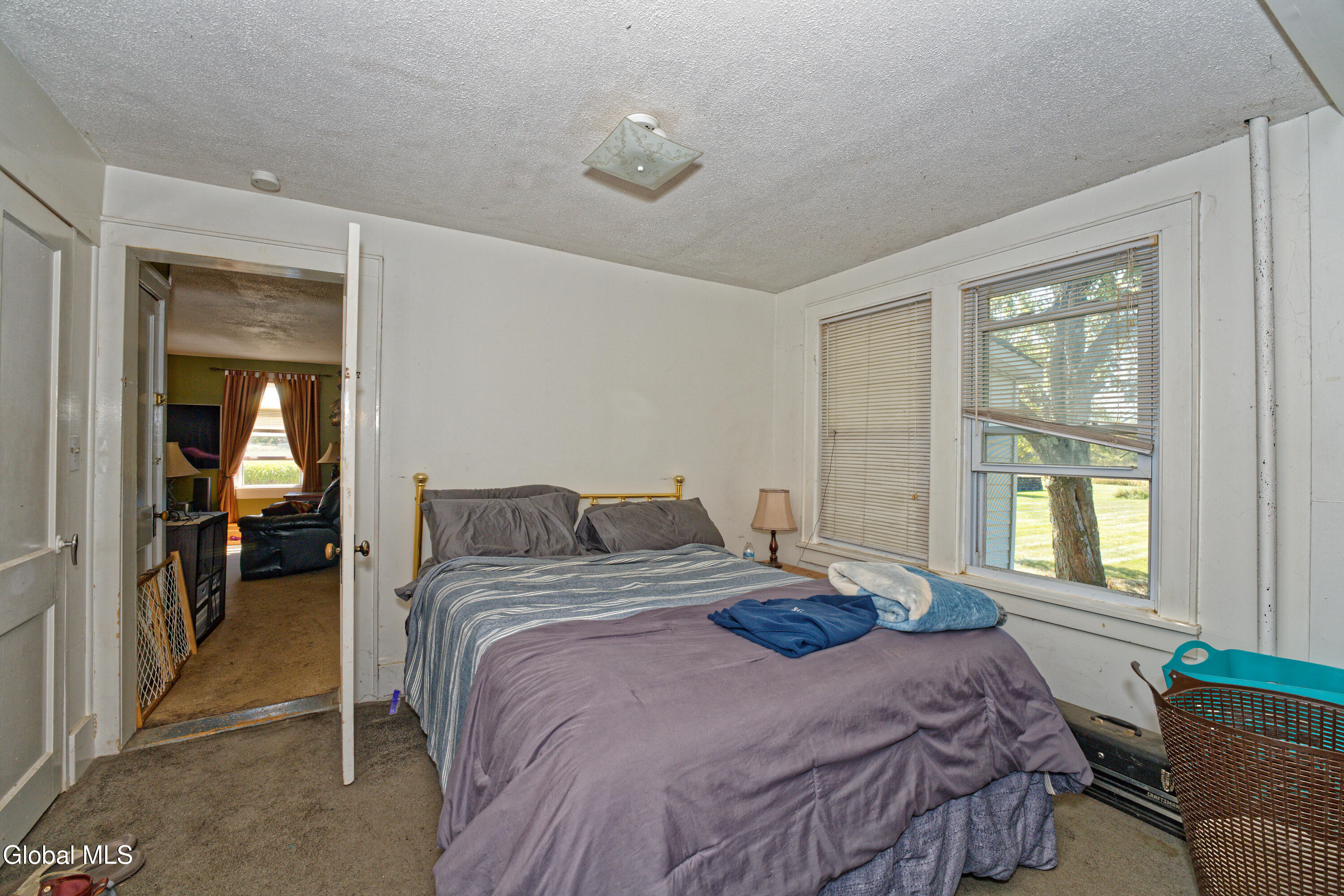 100 Bally Bay Lane Altamont NY 12009