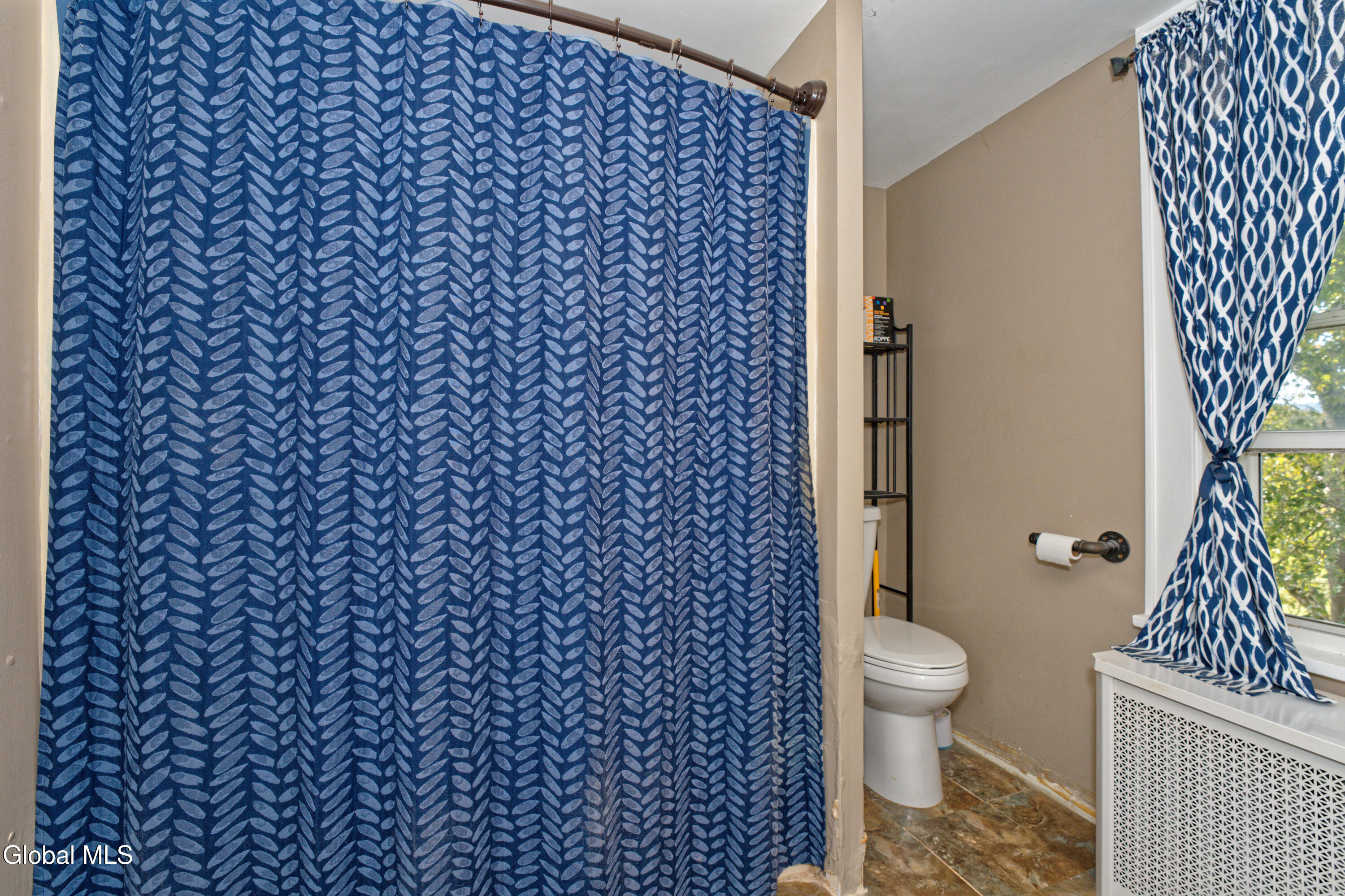 100 Bally Bay Lane Altamont NY 12009