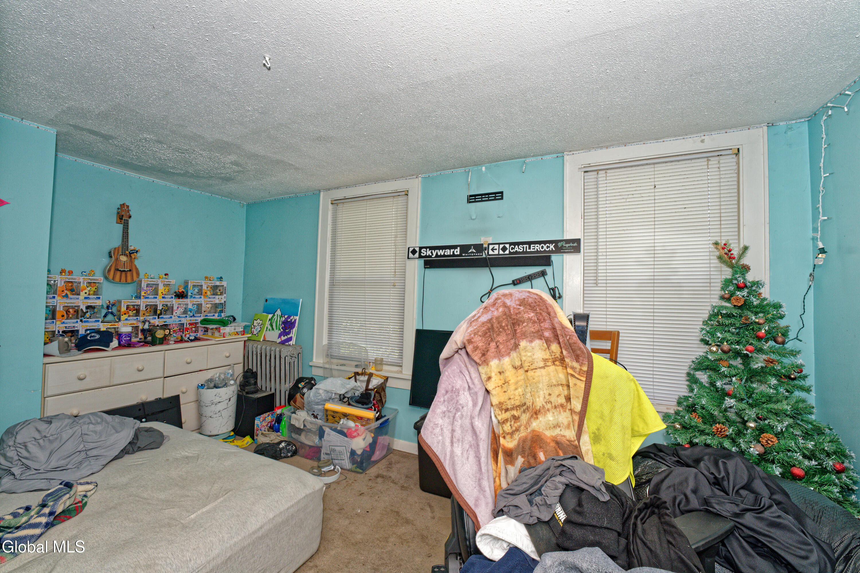100 Bally Bay Lane Altamont NY 12009