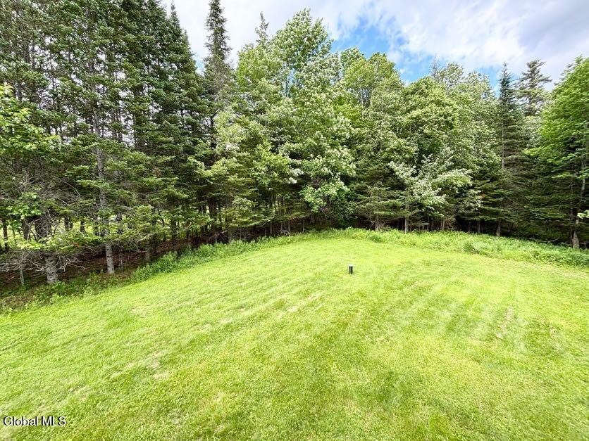 31 Chaisson Road Newcomb NY 12852