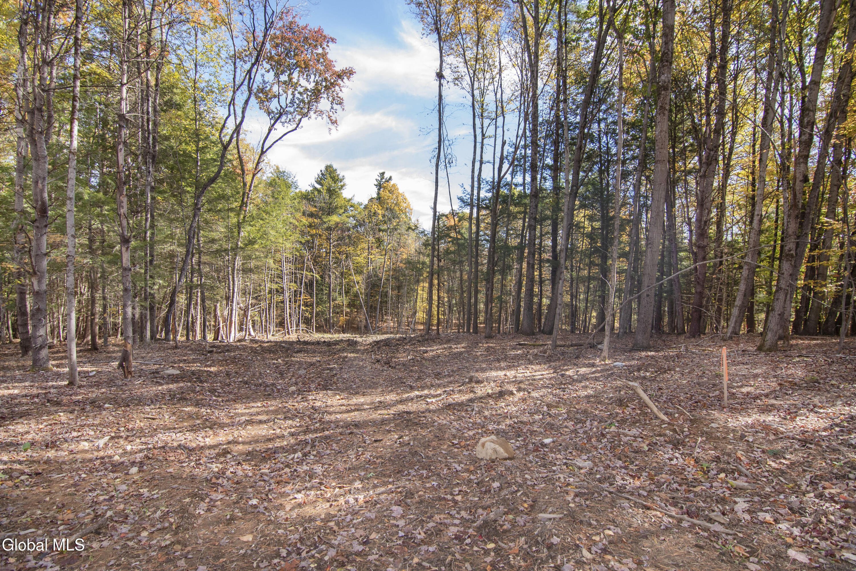 103 Sand Hill Road Greenfield Center NY 12833