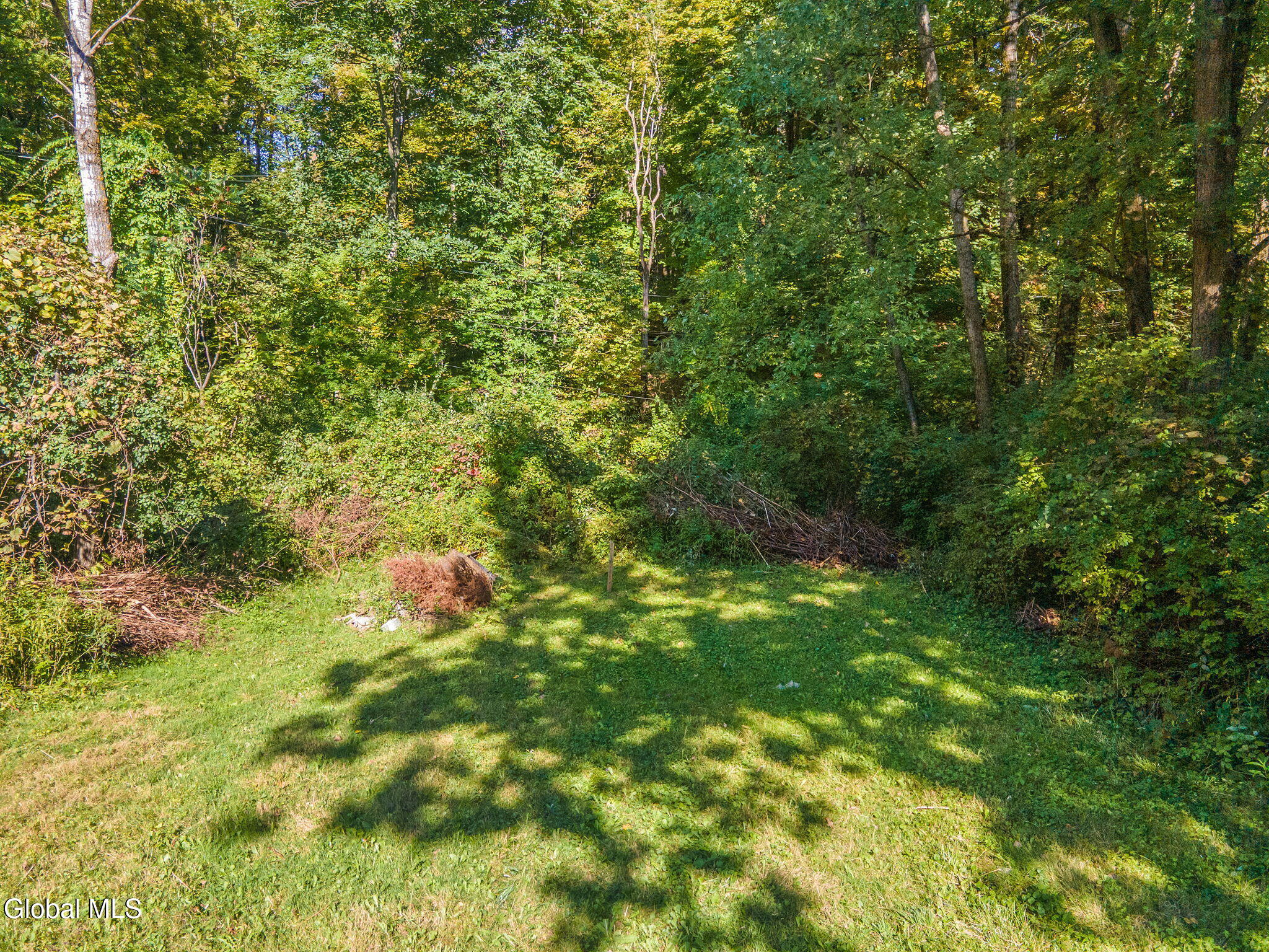 35 Williams Street Wynantskill NY 12198