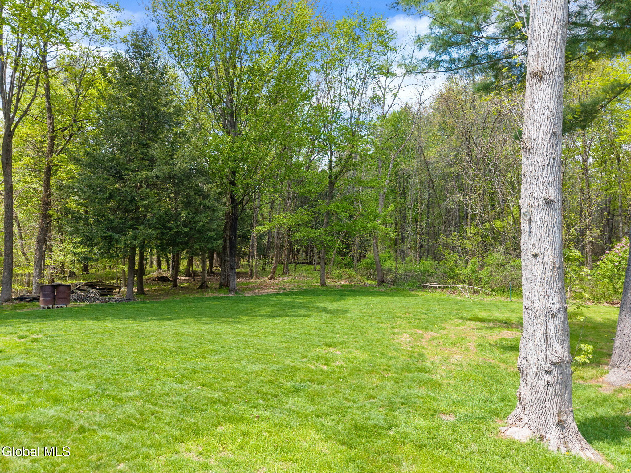1129 Meadowdale Road Altamont NY 12009