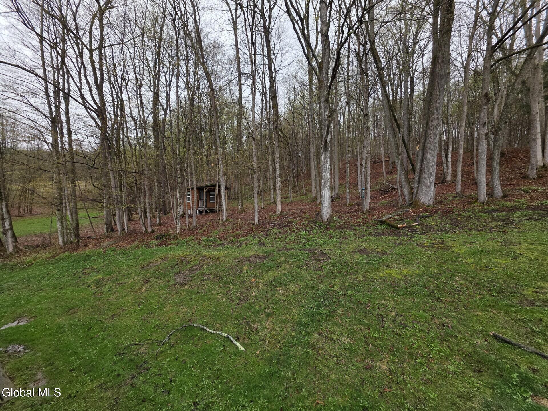 1067 Ravine Road Berne NY 12023