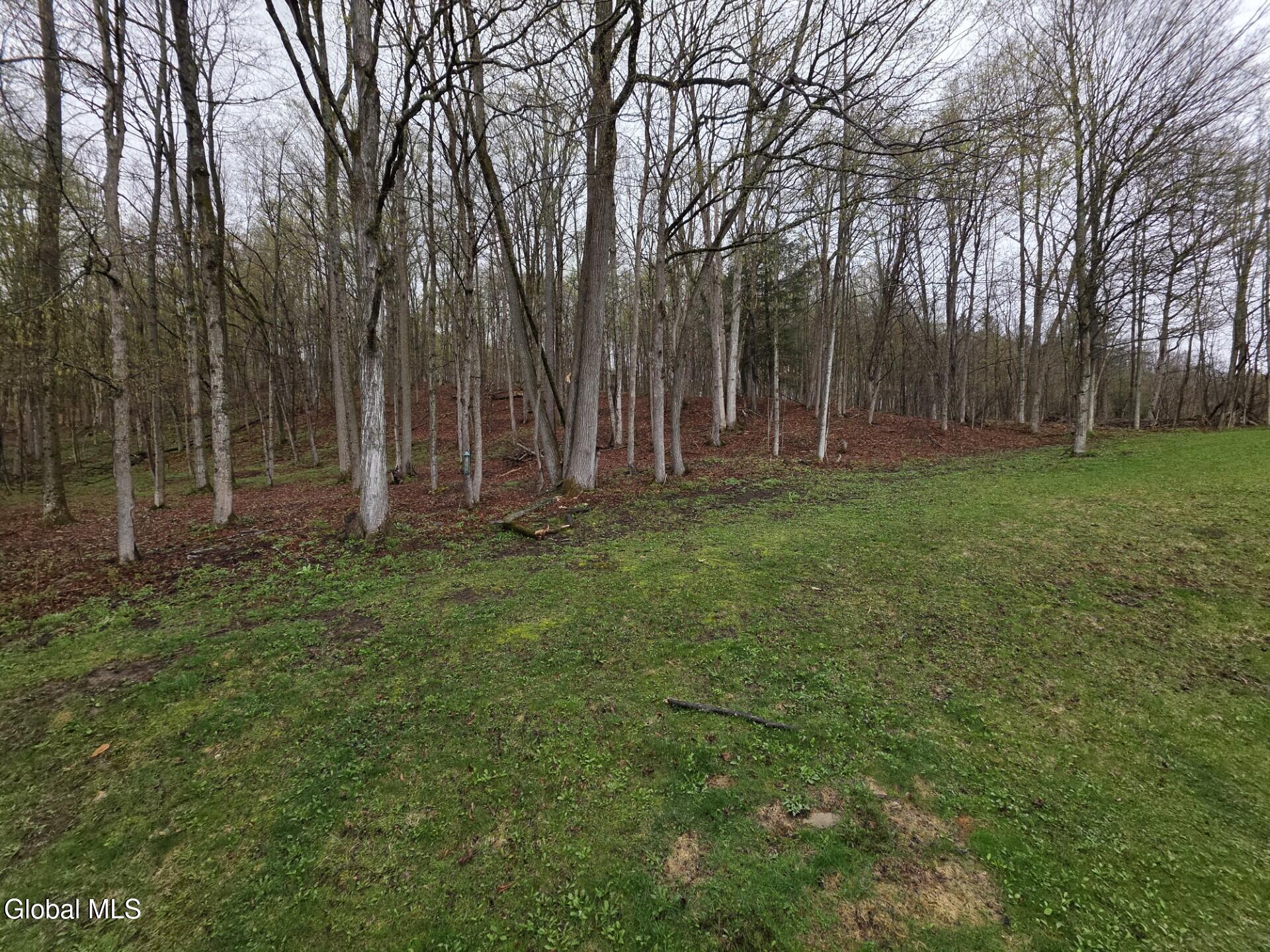 1067 Ravine Road Berne NY 12023