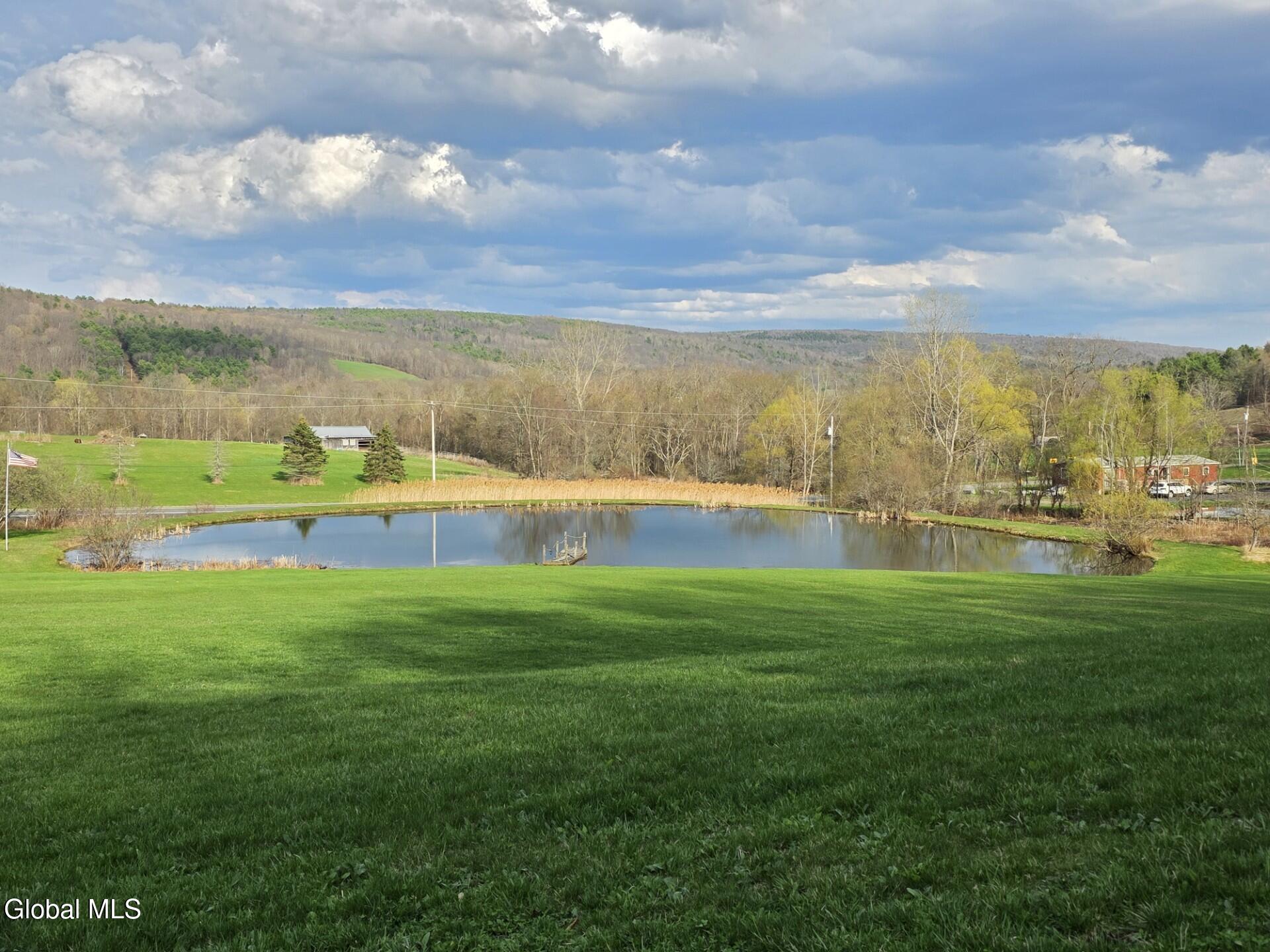 1067 Ravine Road Berne NY 12023