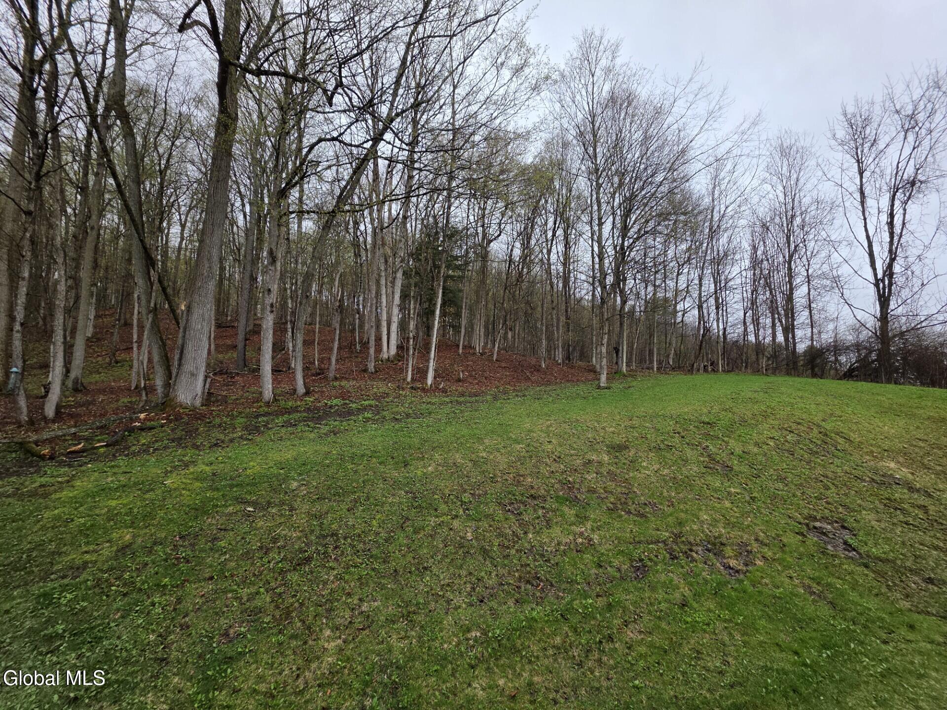 1067 Ravine Road Berne NY 12023