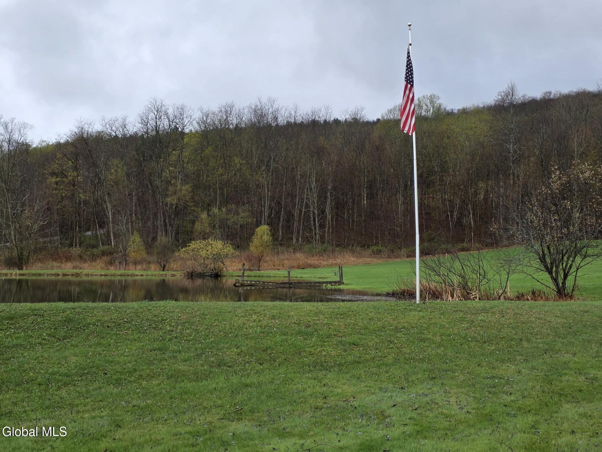1067 Ravine Road Berne NY 12023