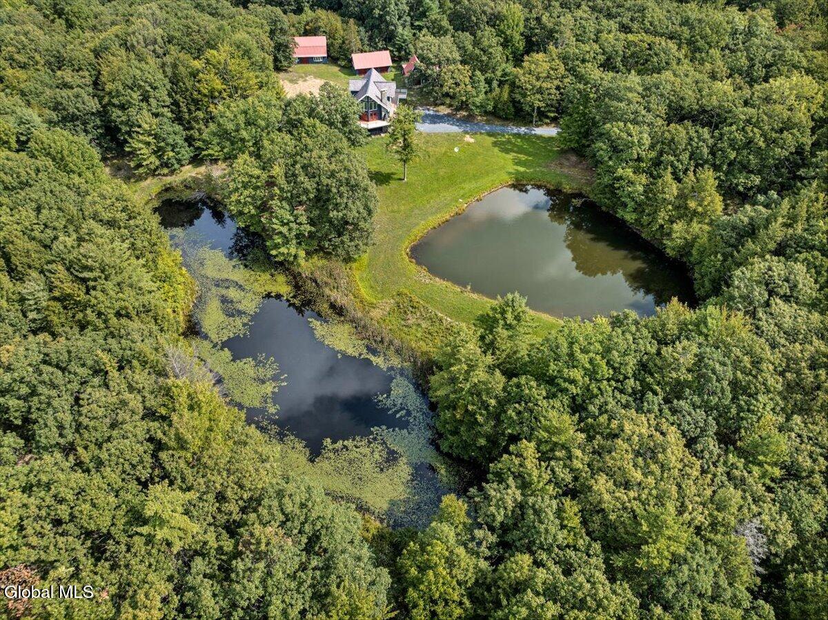 200 Wicked Hollow Way Hampton NY 12837