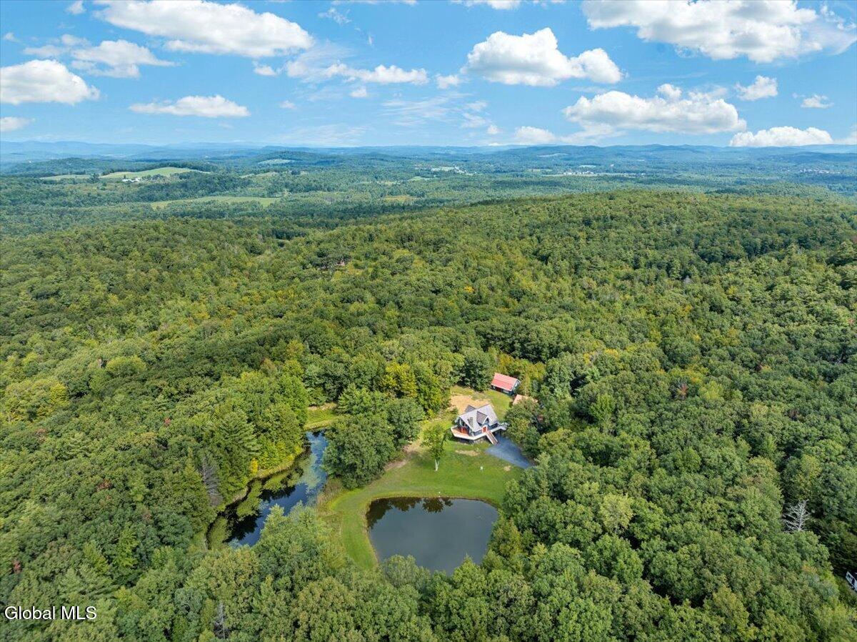 200 Wicked Hollow Way Hampton NY 12837