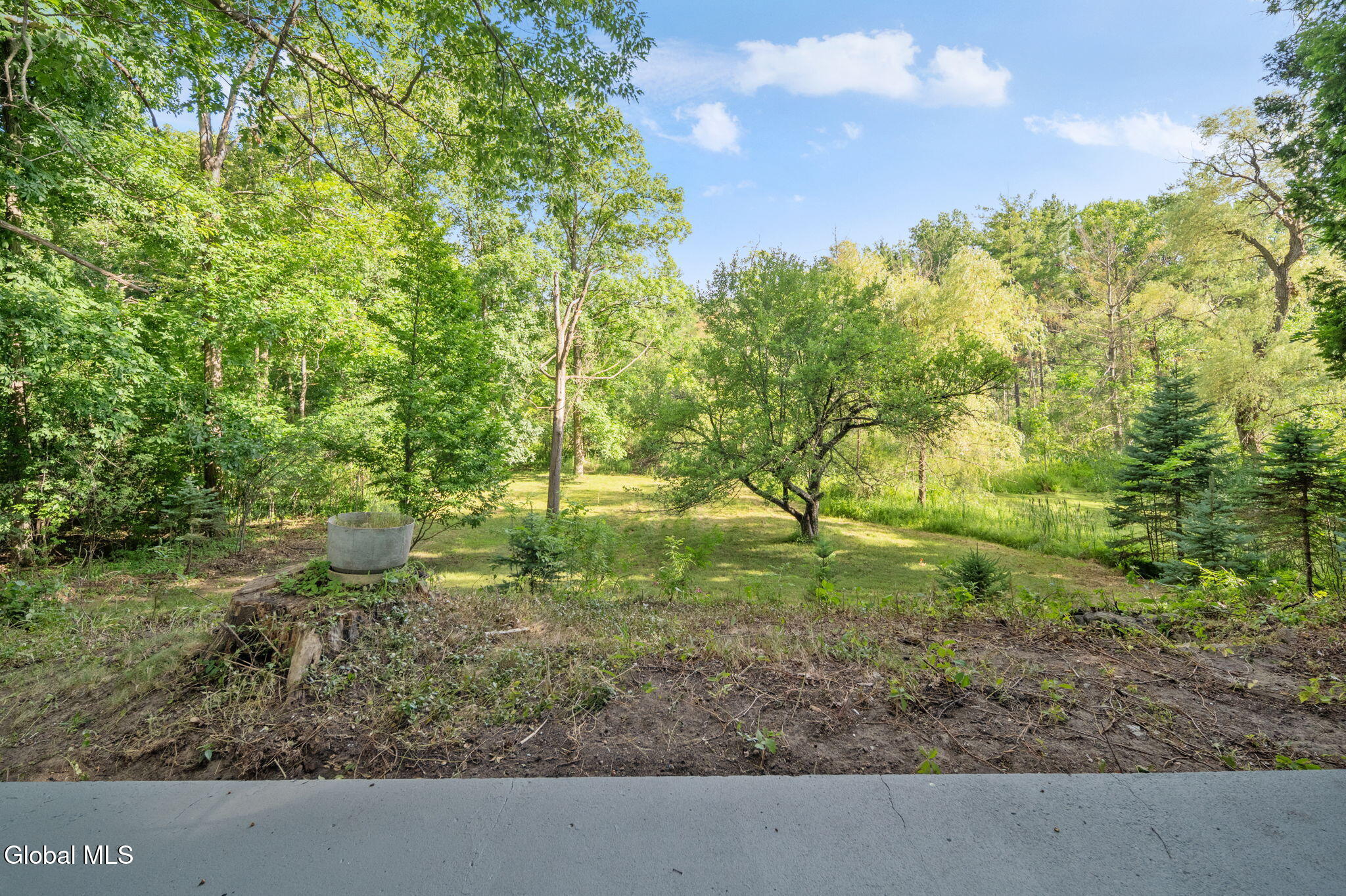 8 Woodland Drive Johnstown NY 12095