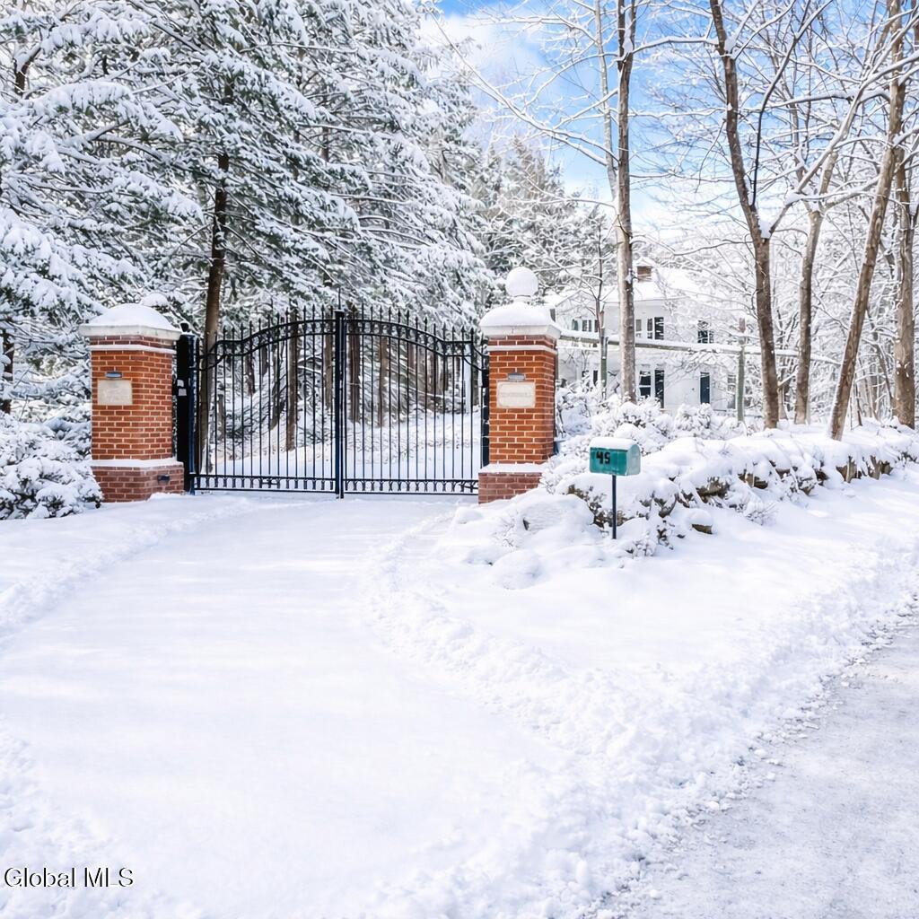 45 Locust Street Chatham NY 12037