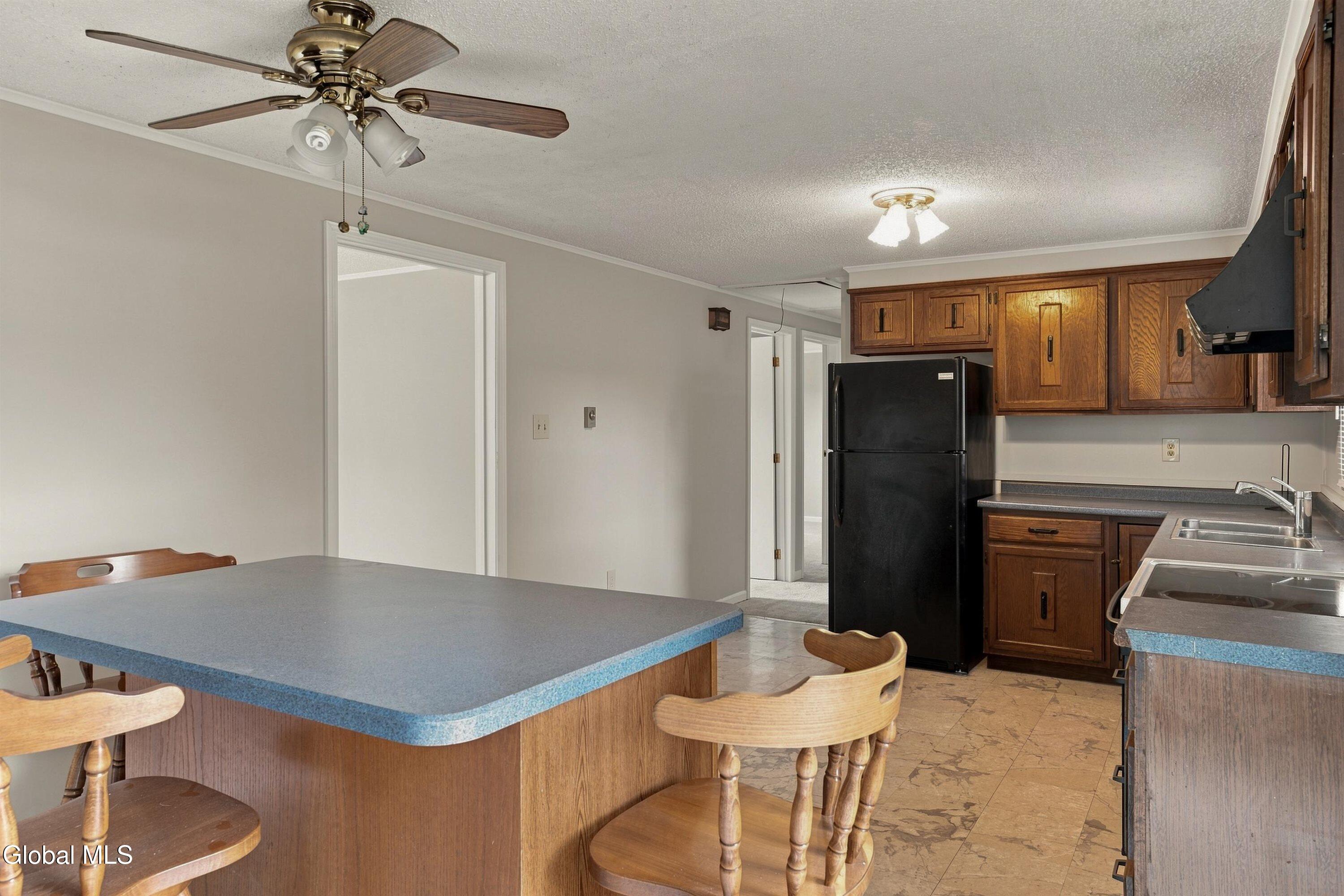 3 Newton Street Albany NY 12205