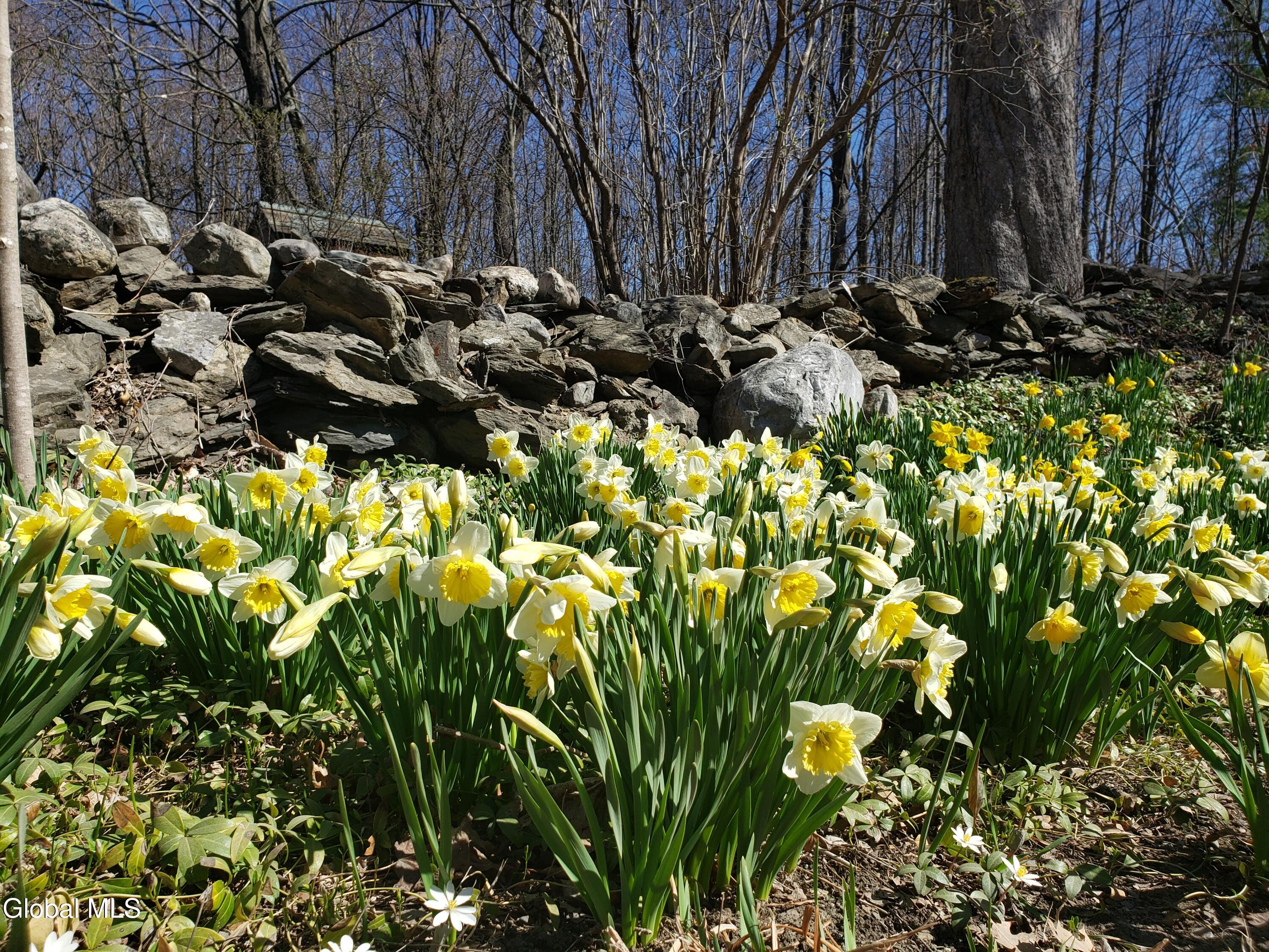 193-199 Brennan Rd Extension Argyle NY 12809